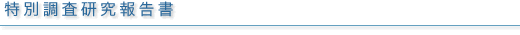 特別調査研究報告書